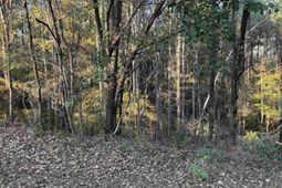 0 Weeping Cherry Lane photo 4