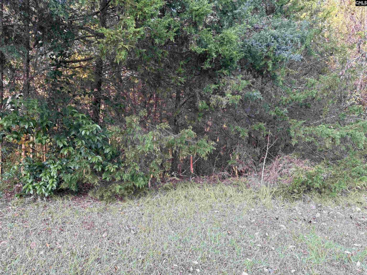 0 Weeping Cherry Lane Photo 5