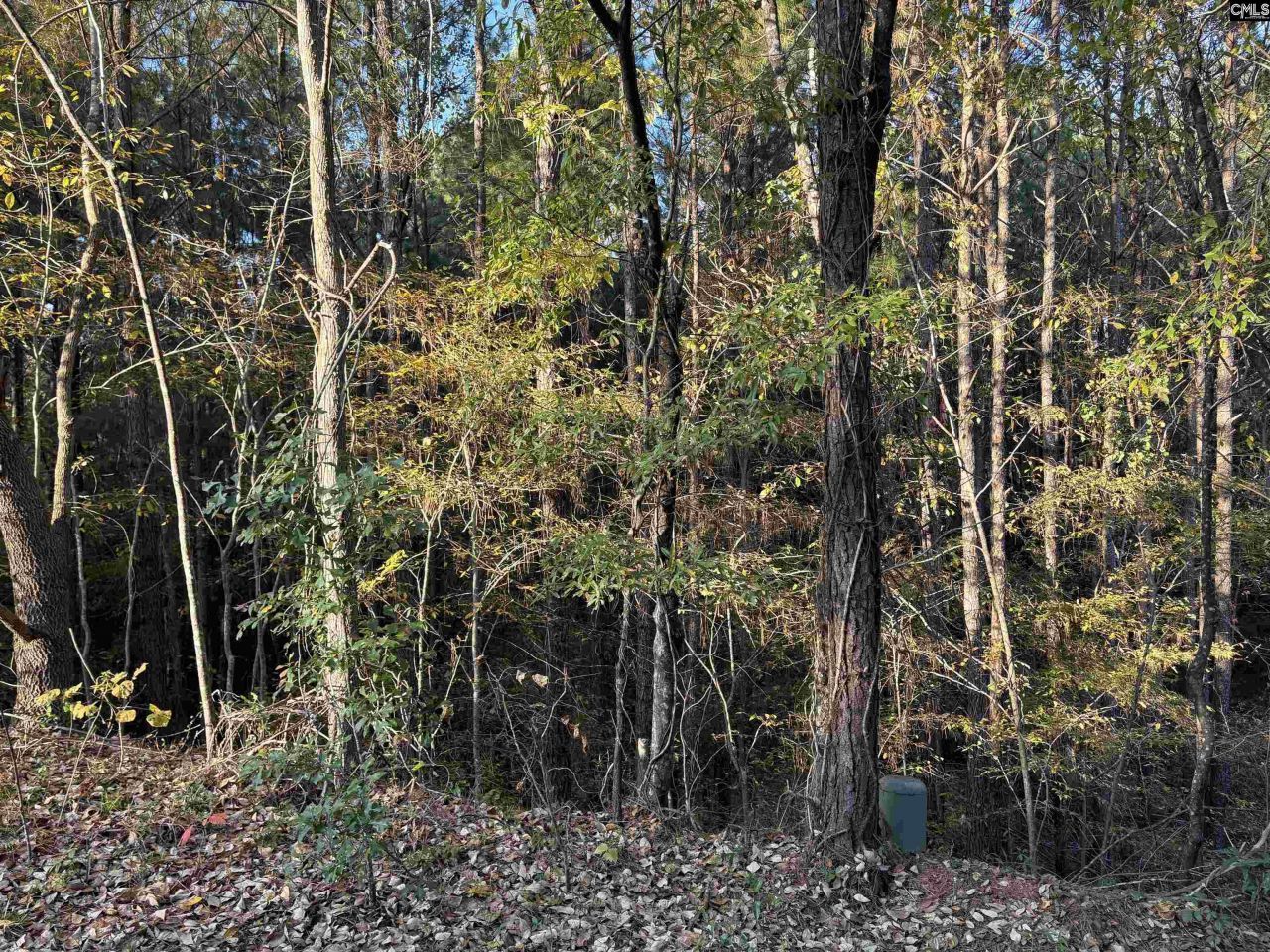 0 Weeping Cherry Lane Photo 6