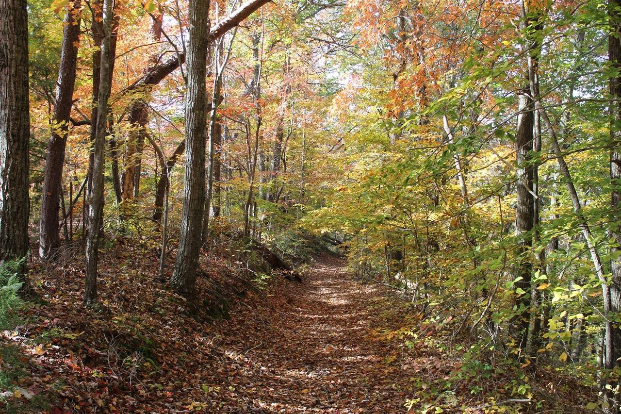 1 Gosser Ridge Spur, Russell Springs, KY 42624 Main Photo