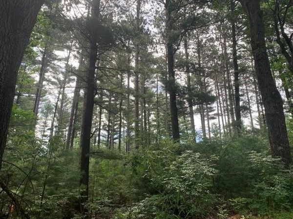 22.35AC on Beaver Ave, Big Flats, WI 54457