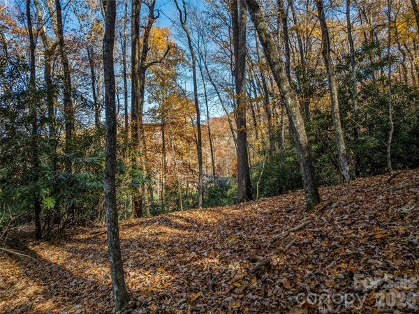 241 Skye Drive , Pisgah Forest, NC 28768