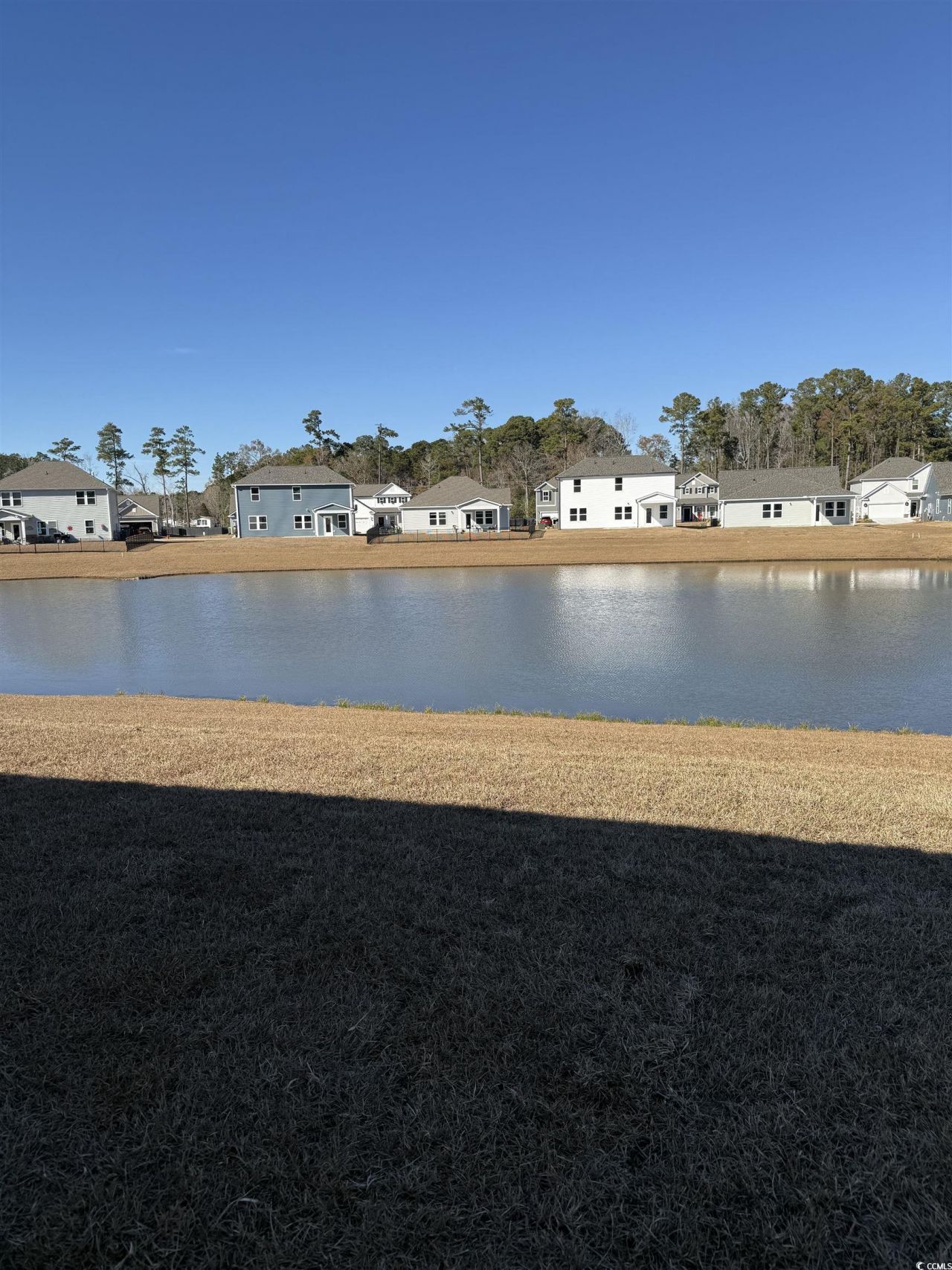 1439 Winding Creek Way Photo 8