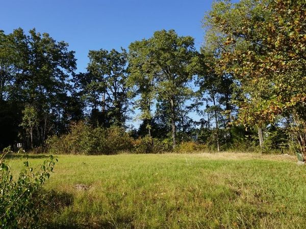 1688 Doc Holiday Dr, Log Cabin, TX 75148