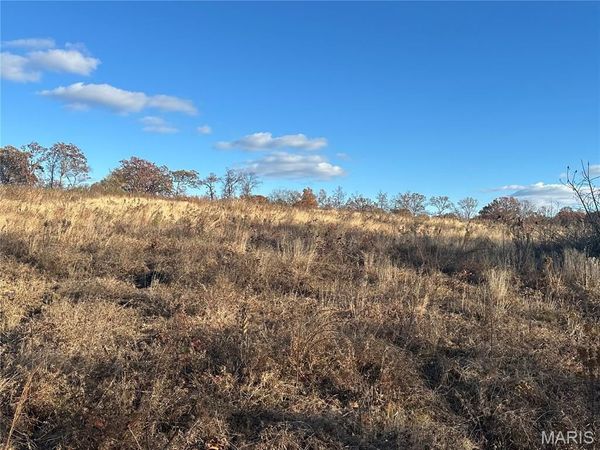 11918 Springtown Rd, Mineral Point, MO 63660