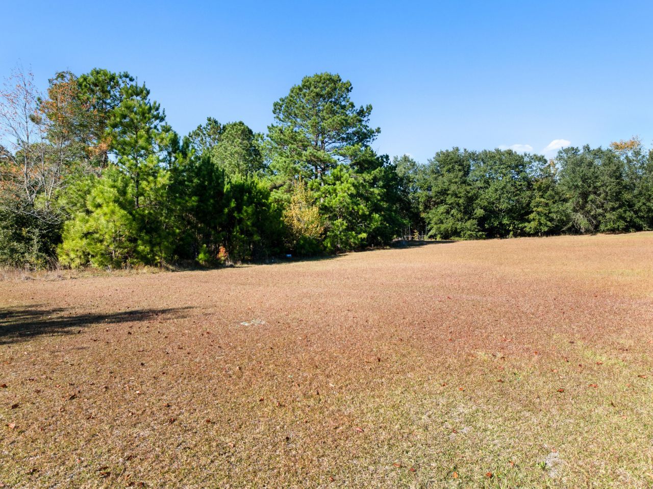 168 Blessing Road Photo 20