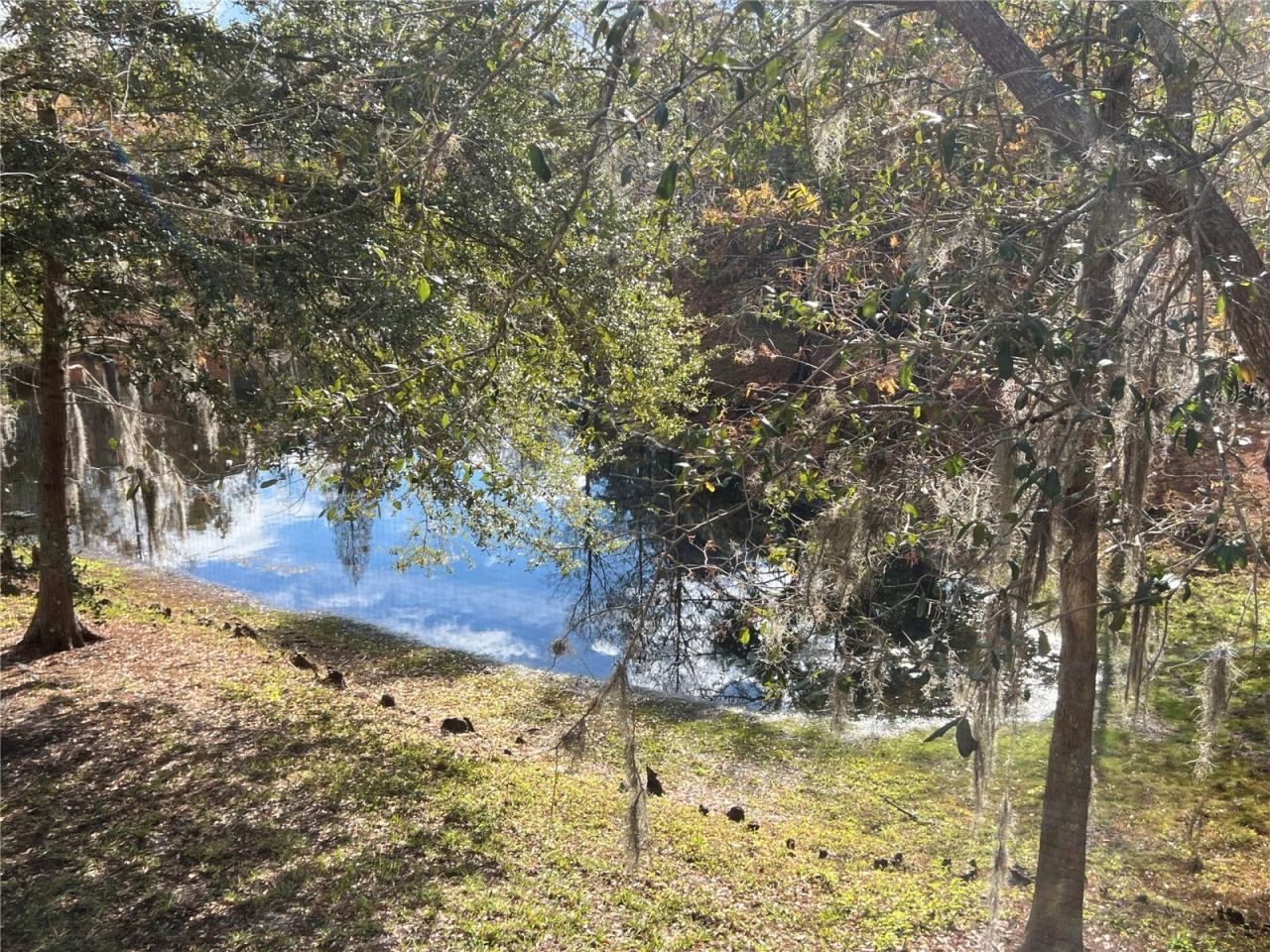 7350 Black Walnut Way, Lakewood Ranch, FL 34202 Photo