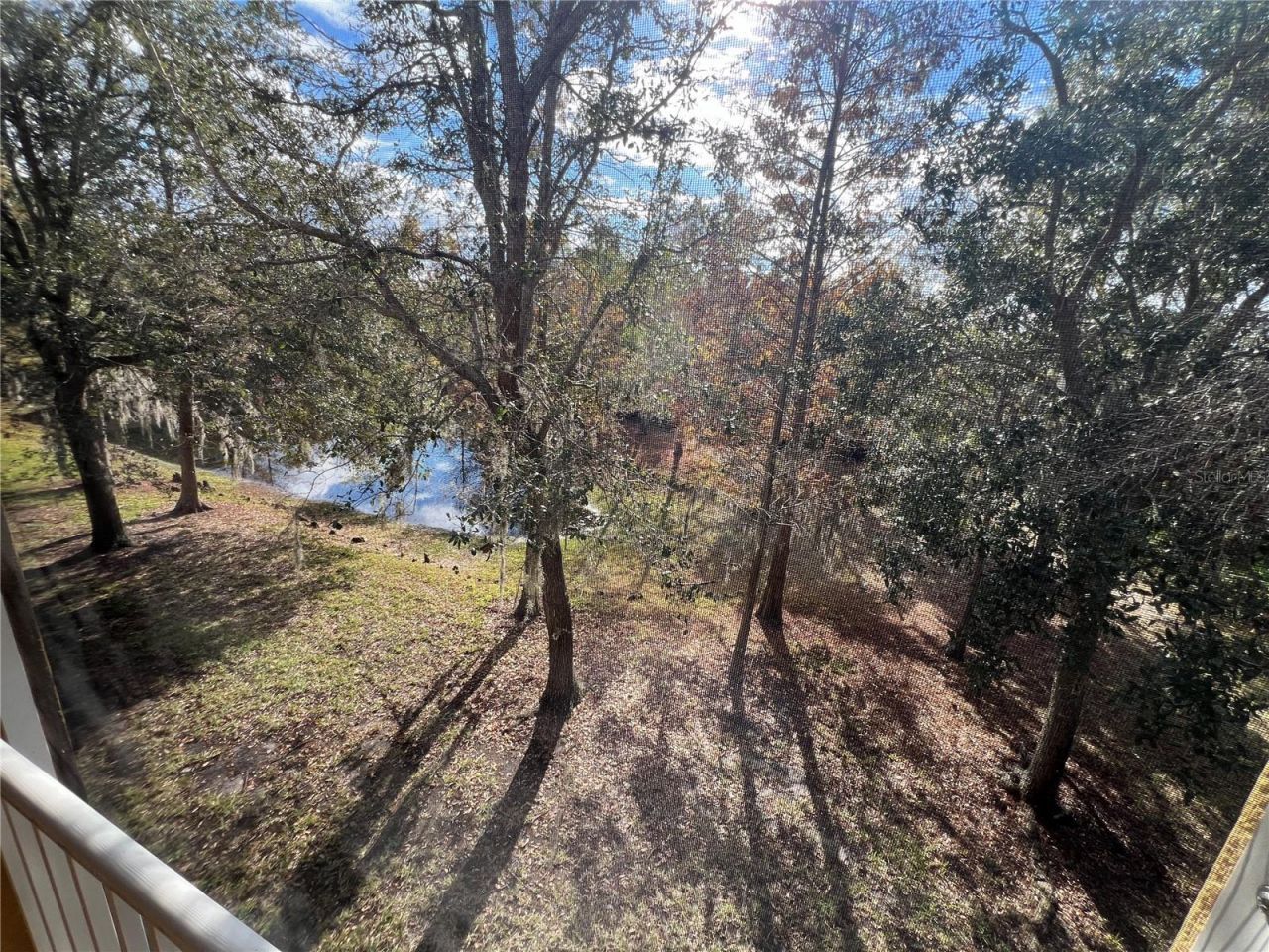 7350 Black Walnut Way, Lakewood Ranch, FL 34202 Photo