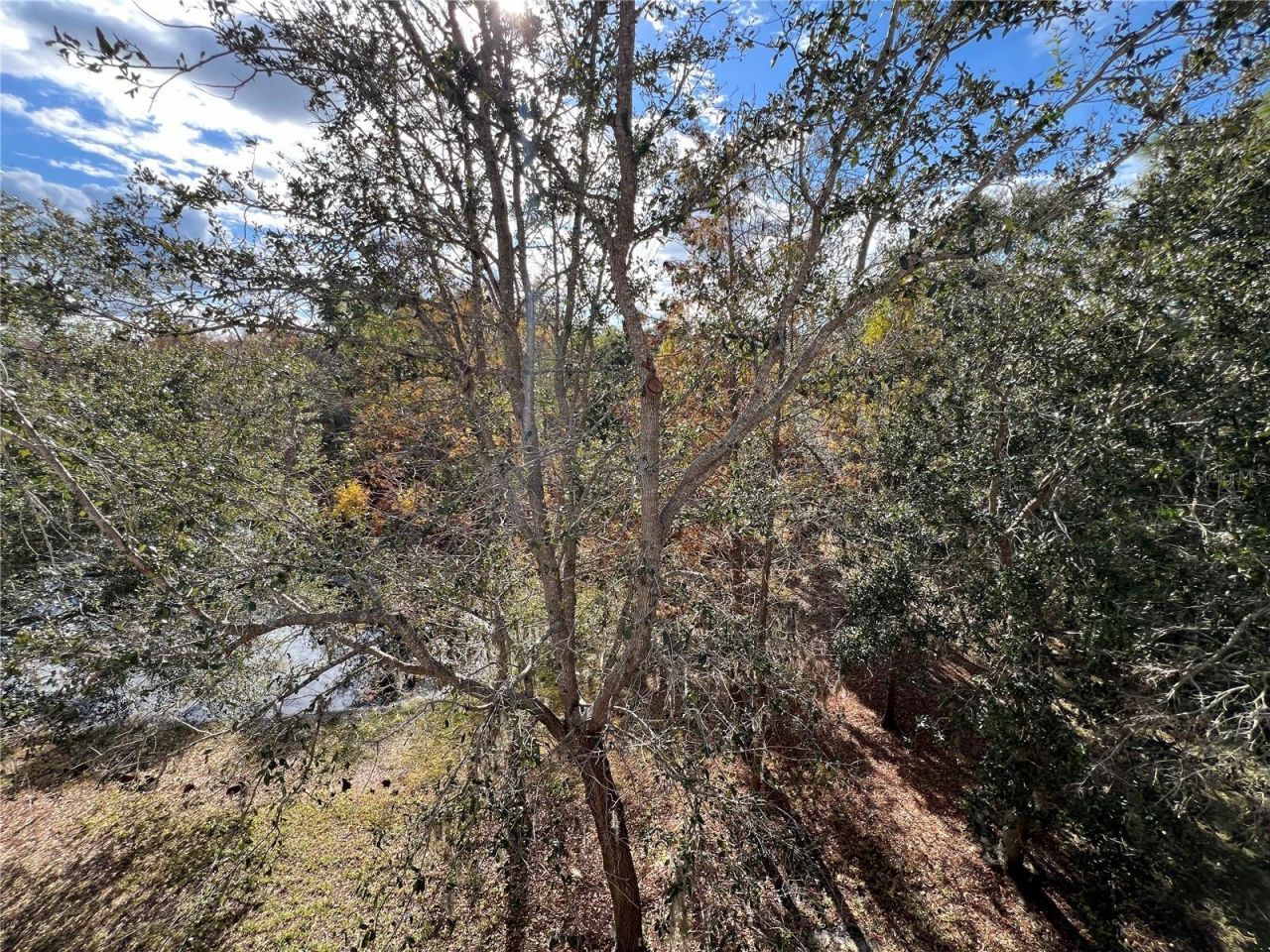 7350 Black Walnut Way, Lakewood Ranch, FL 34202 Photo