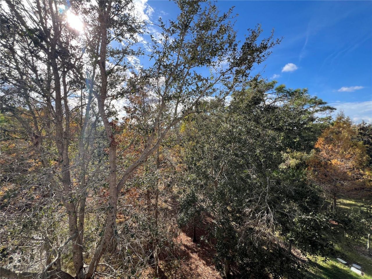 7350 Black Walnut Way, Lakewood Ranch, FL 34202 Photo