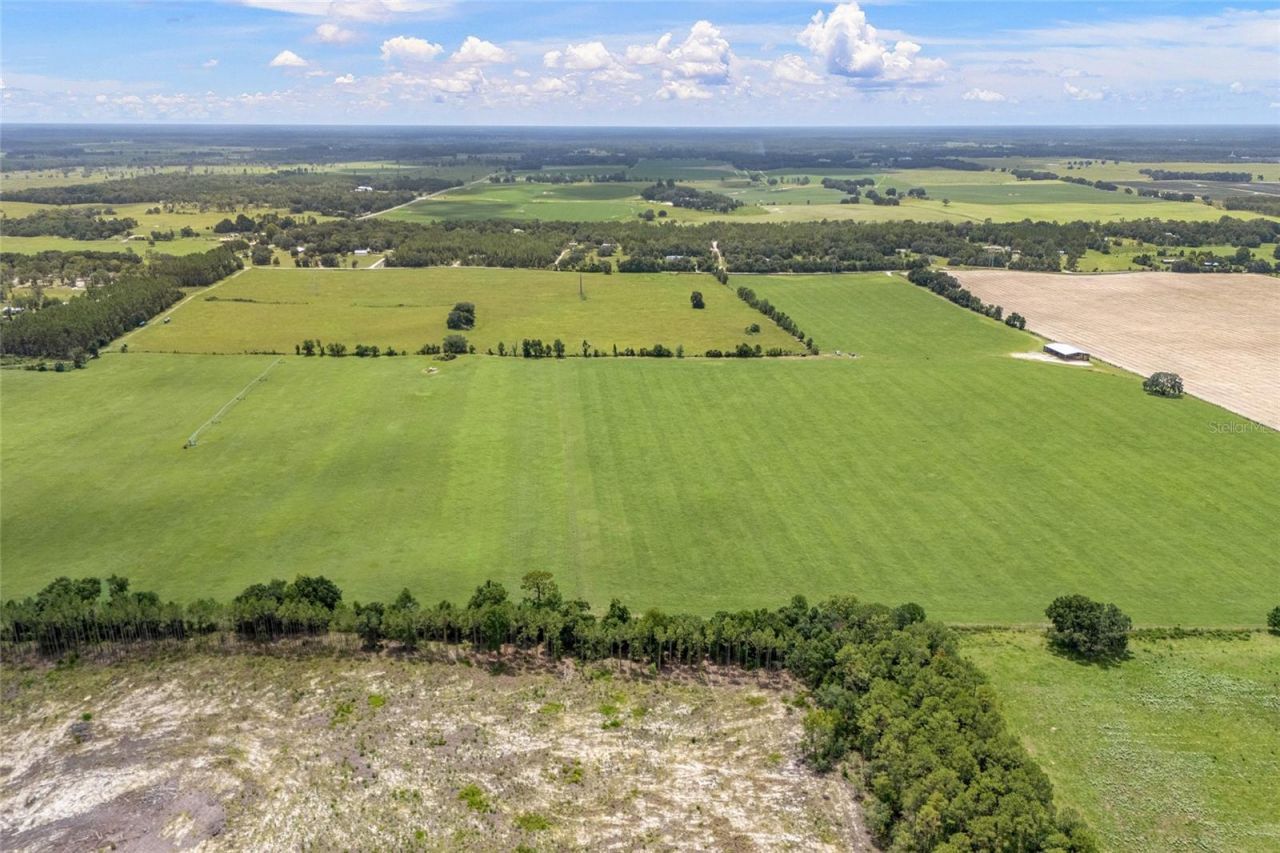 7213 SW 298th Street, Newberry, FL 32669 Photo