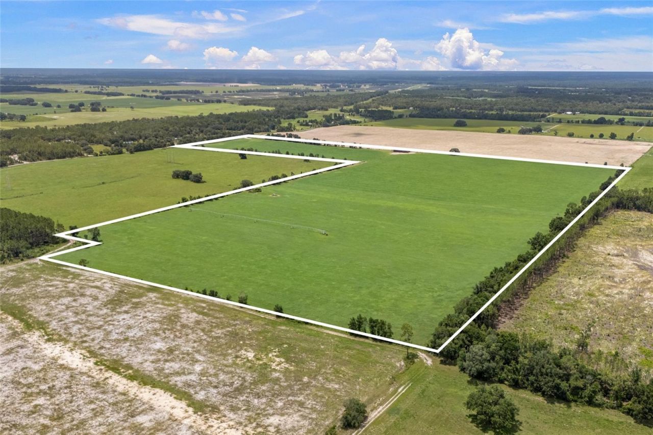 7213 SW 298th Street, Newberry, FL 32669 Photo