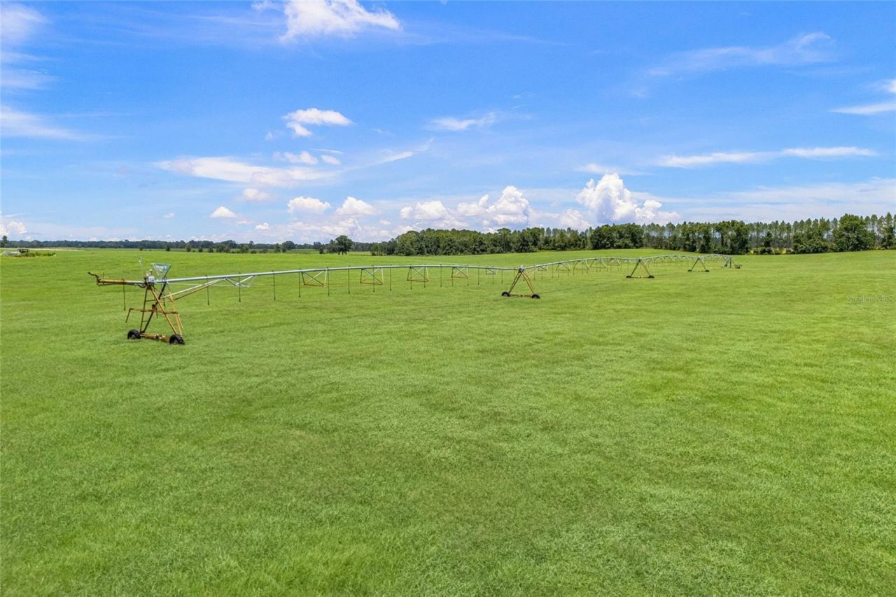 7213 SW 298th Street, Newberry, FL 32669 Photo