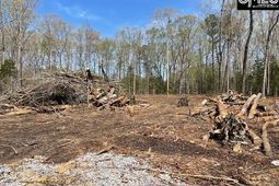 124a Lynch Lane photo 4