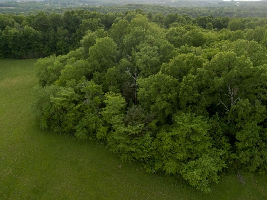 Property Image 37