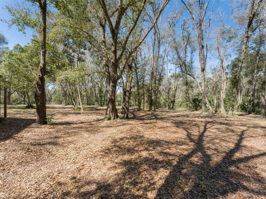 Property Image 65