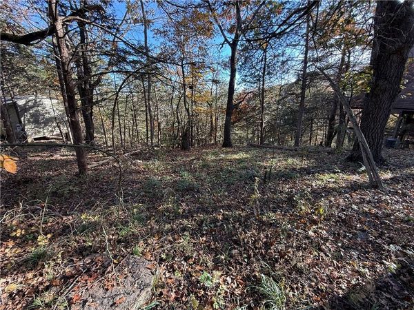 TBD Twin Peak Drive, Holiday Island, AR 72631