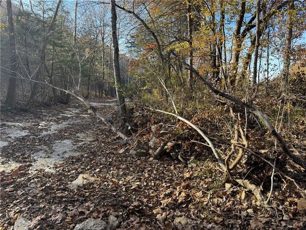 TBD Valley Drive, Holiday Island, AR 72631