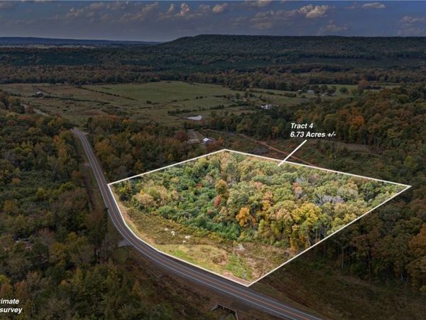 TRACT 4 - 13610 N Sr 105, Hector, AR 72843