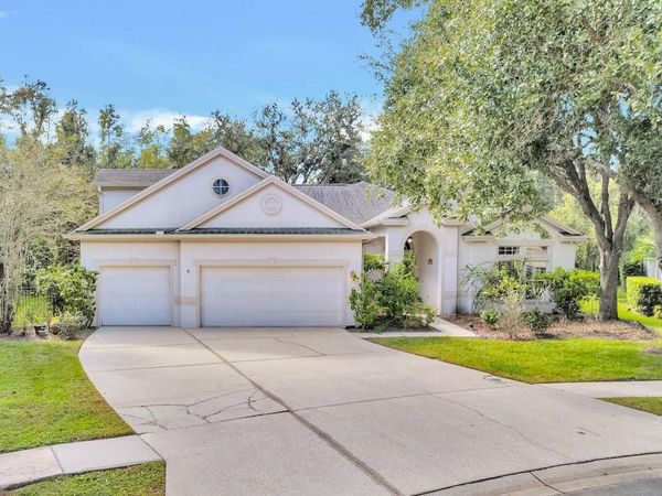 10218 SHADOW BRANCH DRIVE, TAMPA, FL 33647