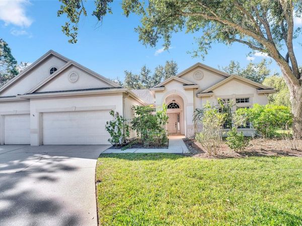 10218 SHADOW BRANCH DRIVE, TAMPA, FL 33647