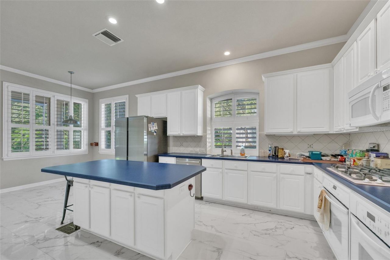 10218 Shadow Branch Drive, Tampa, FL 33647 Photo