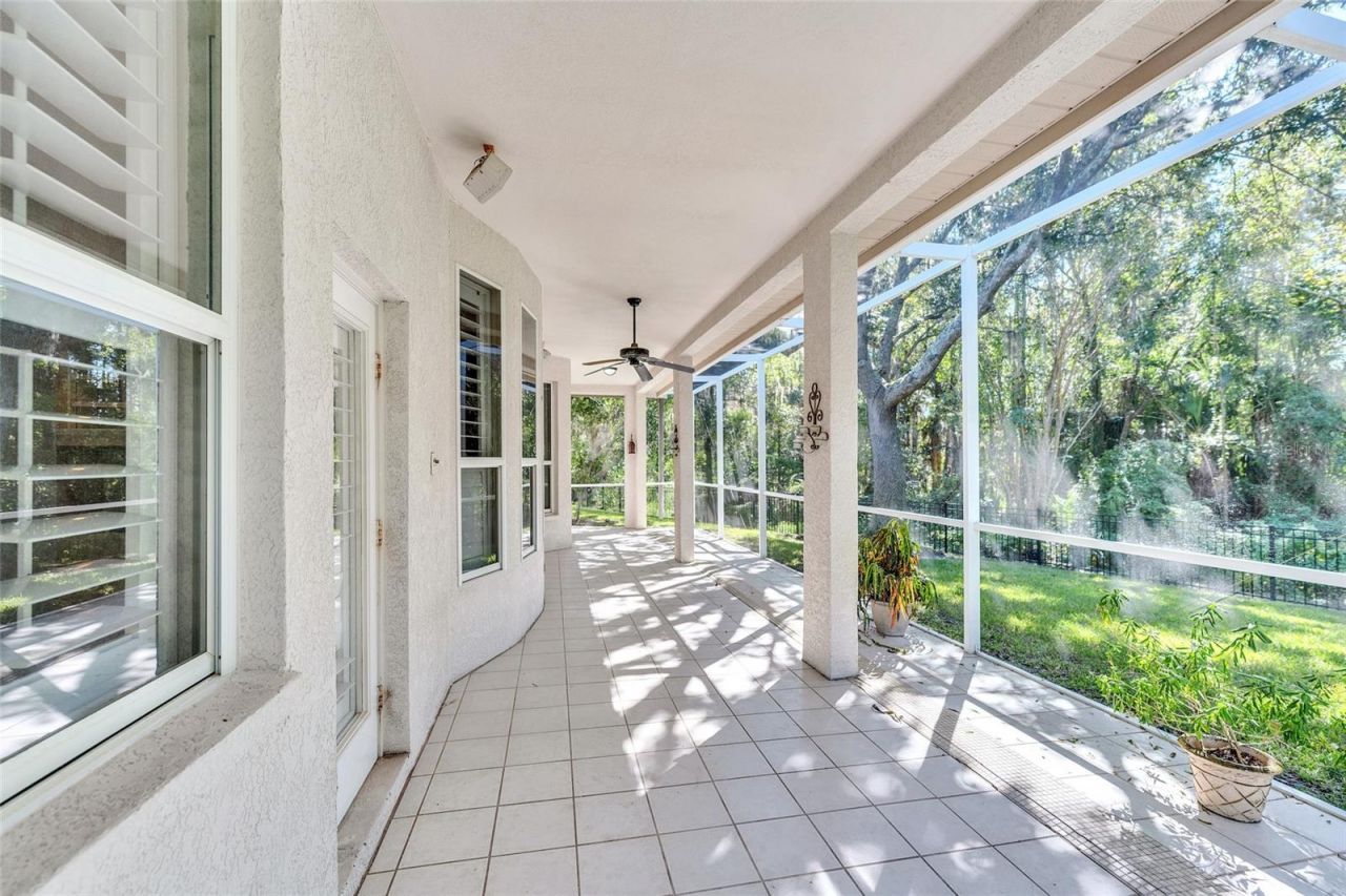 10218 Shadow Branch Drive, Tampa, FL 33647 Photo