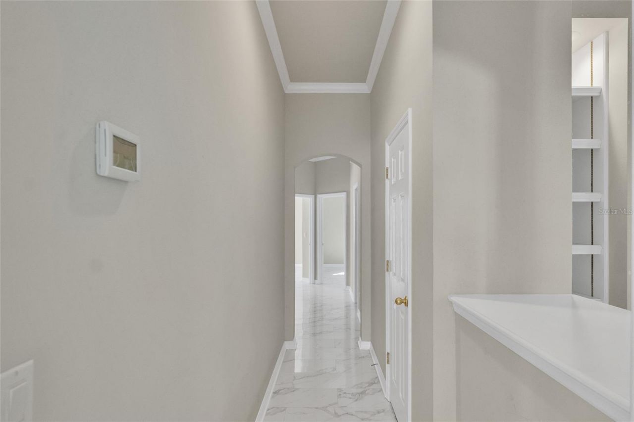 10218 Shadow Branch Drive, Tampa, FL 33647 Photo