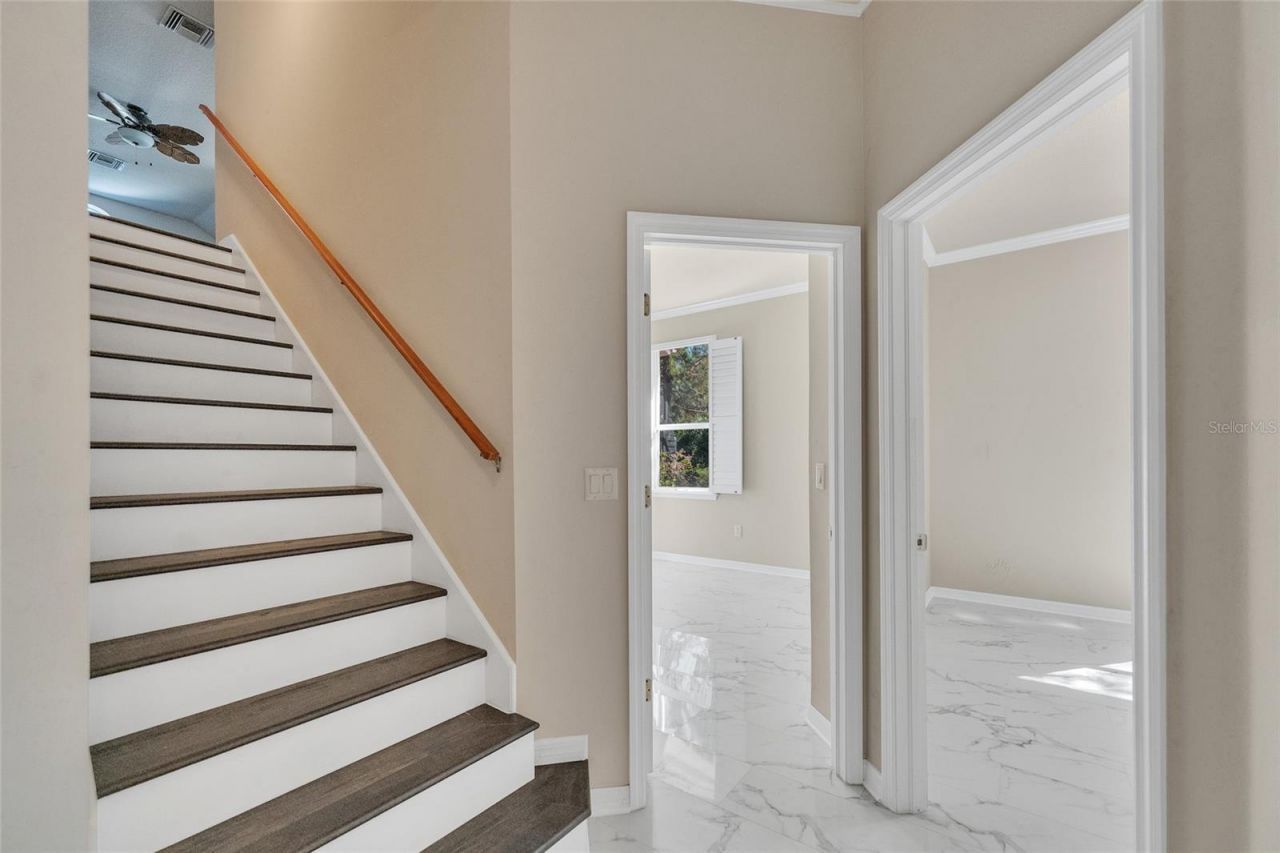 10218 Shadow Branch Drive, Tampa, FL 33647 Photo