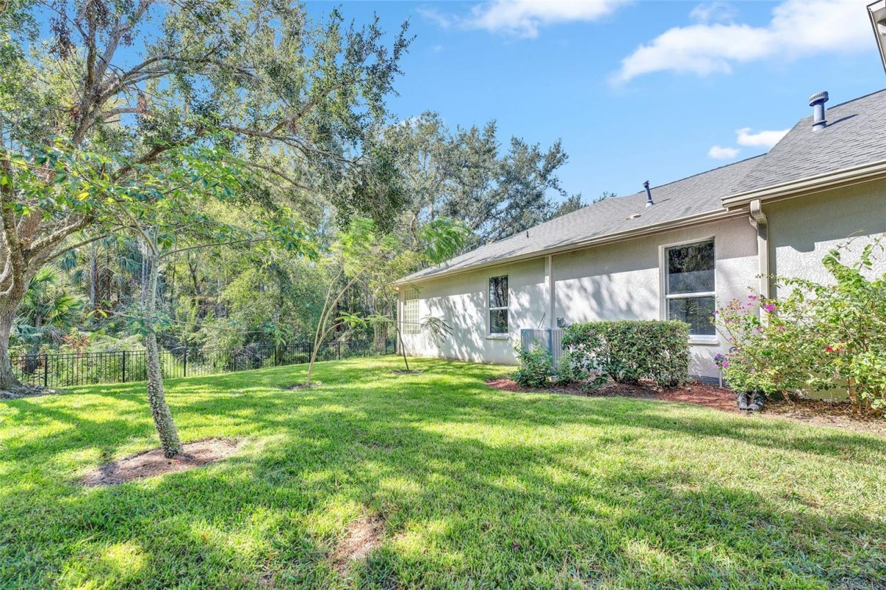 10218 Shadow Branch Drive, Tampa, FL 33647 Photo