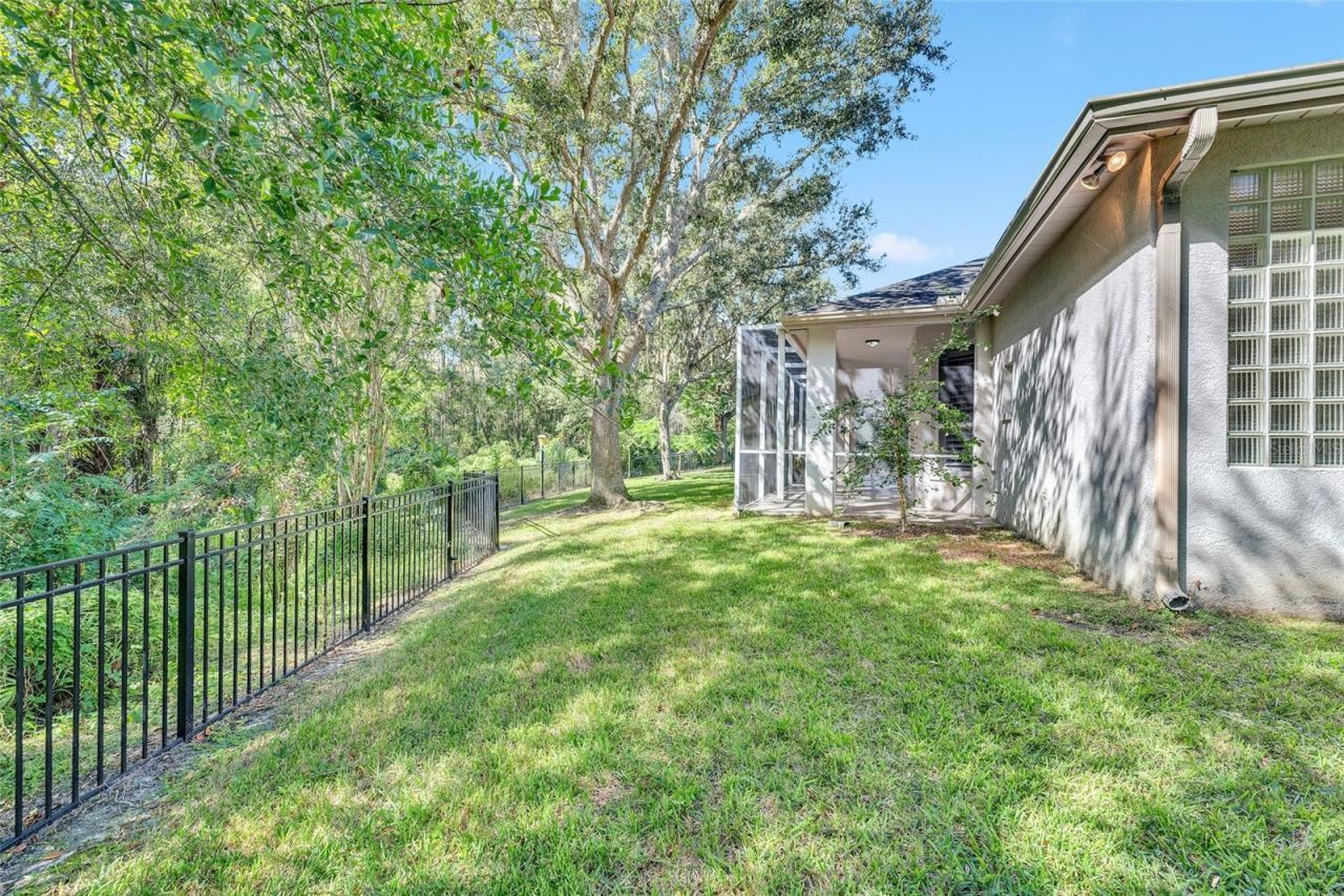 10218 Shadow Branch Drive, Tampa, FL 33647 Photo