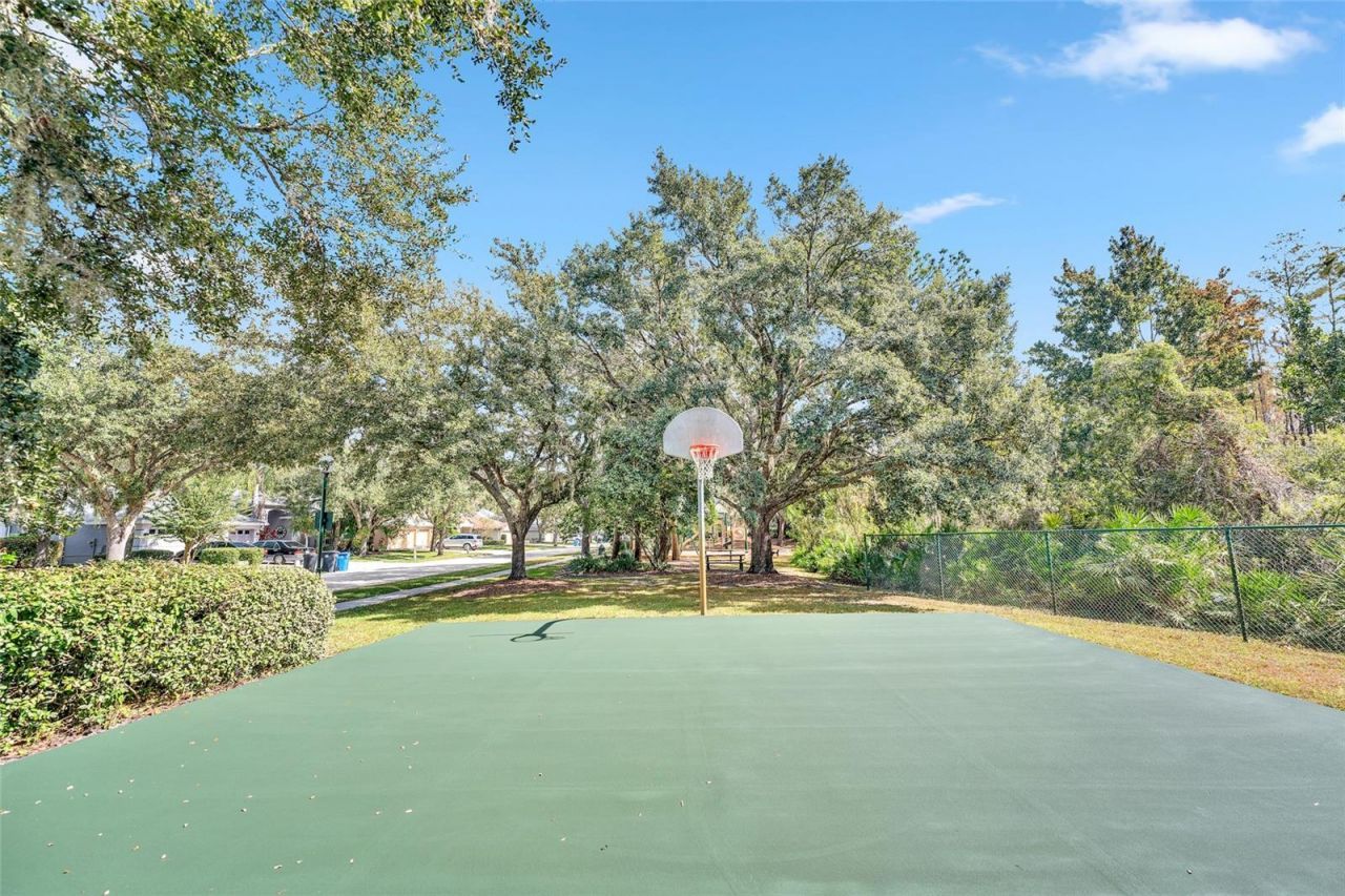 10218 Shadow Branch Drive, Tampa, FL 33647 Photo