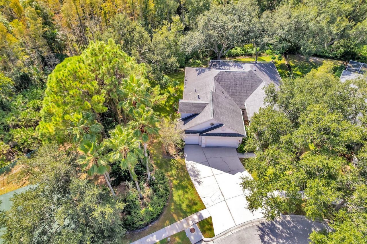 10218 Shadow Branch Drive, Tampa, FL 33647 Photo