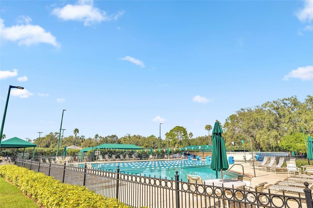 10218 Shadow Branch Drive, Tampa, FL 33647 Photo