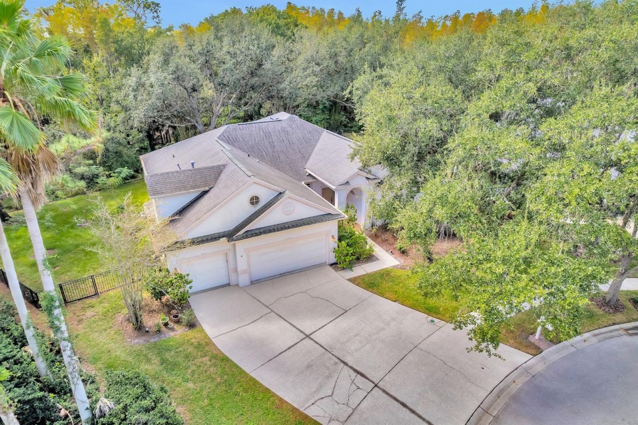 10218 Shadow Branch Drive, Tampa, FL 33647 Photo