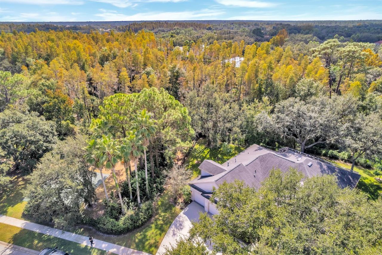10218 Shadow Branch Drive, Tampa, FL 33647 Photo