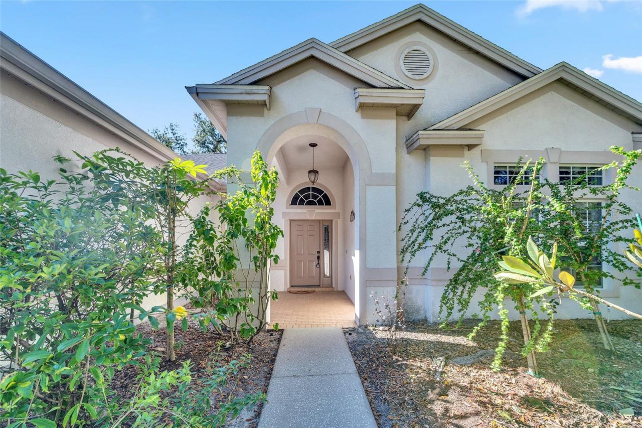 10218 Shadow Branch Drive, Tampa, FL 33647 Photo