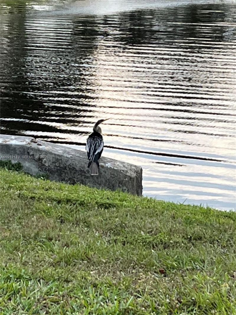 3080 N Course Dr, Unit 209, Pompano Beach, FL 33069 Photo