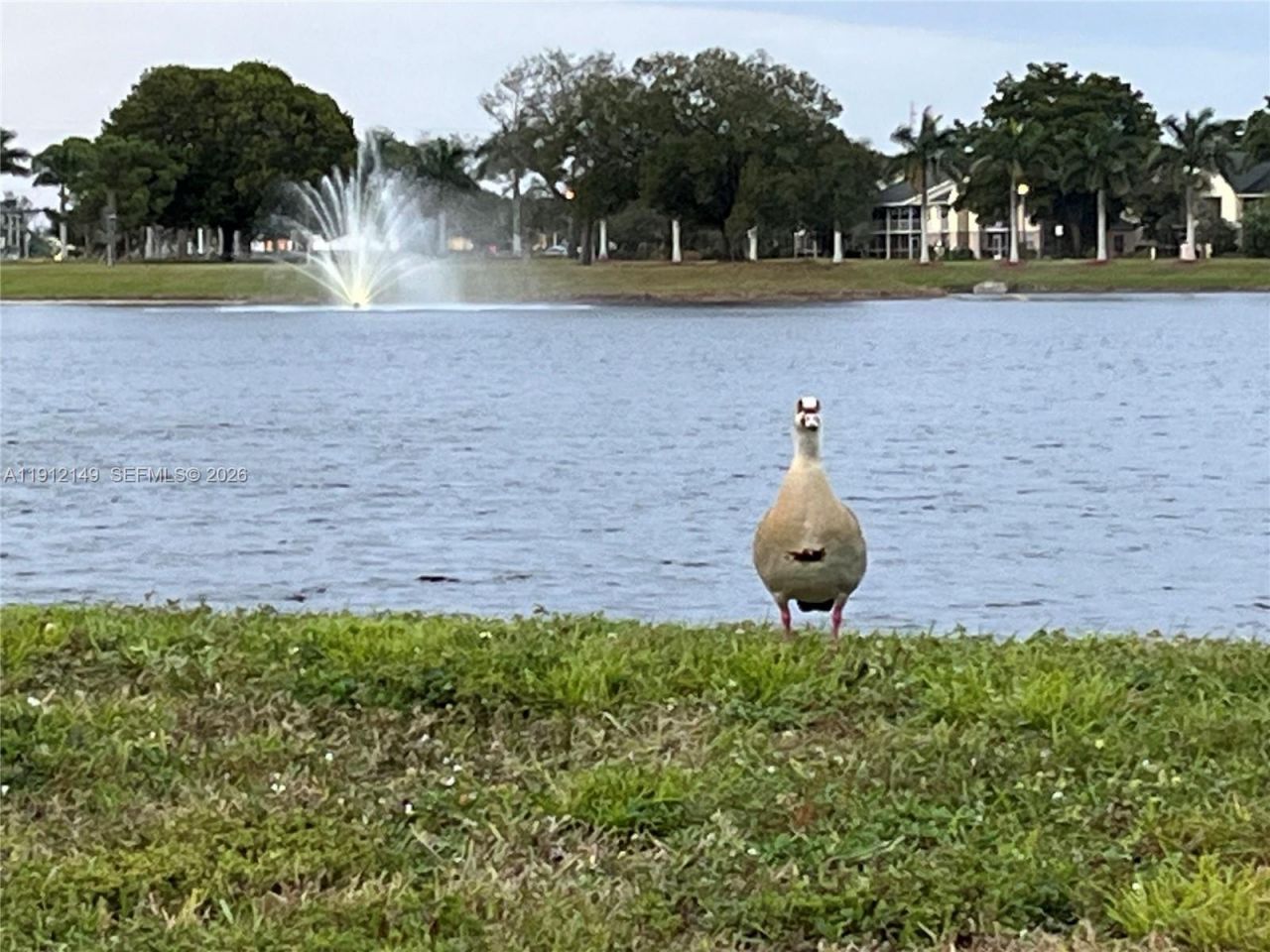 3080 N Course Dr, Unit 209, Pompano Beach, FL 33069 Photo