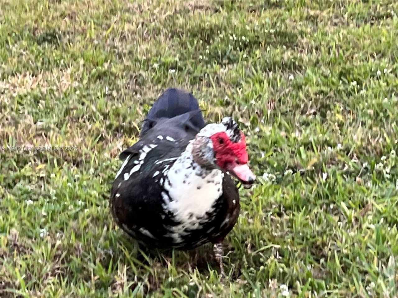 3080 N Course Dr, Unit 209, Pompano Beach, FL 33069 Photo