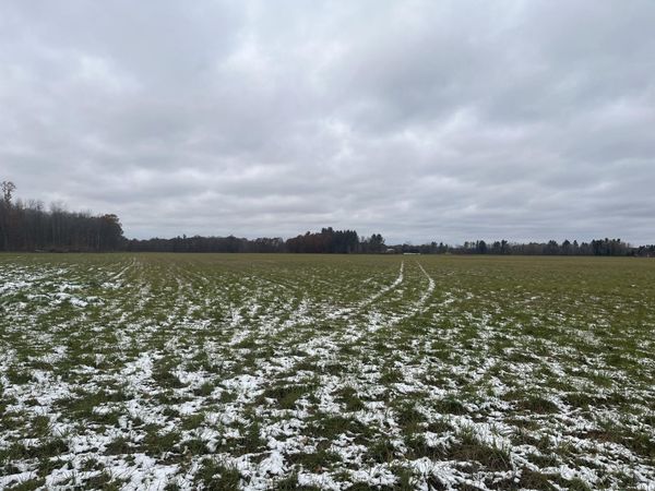 11477 N Johnson Road, Lakeview, MI 48850