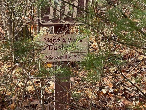 00 Pinnacle Falls Lane , Zirconia, NC 28790