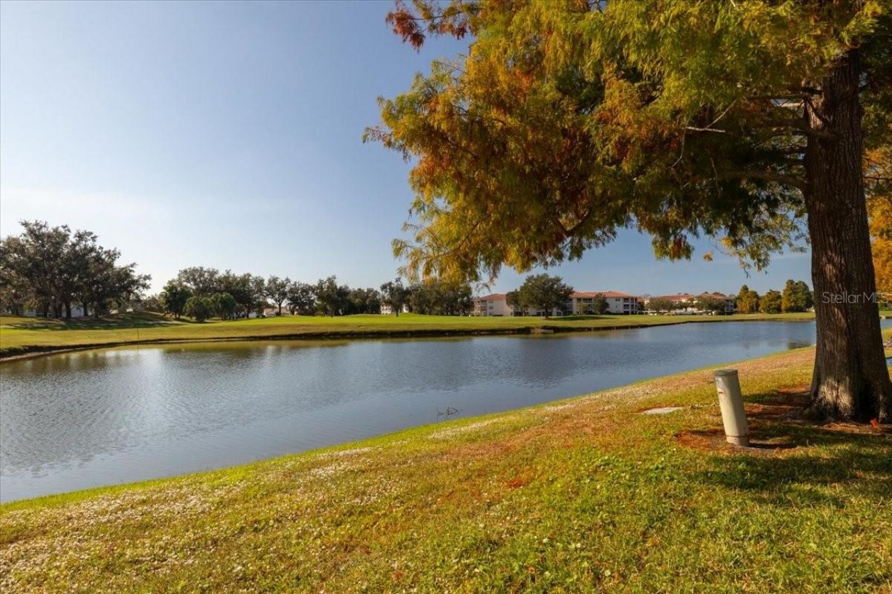 6640 Pineview Terrace, Unit 6640, Bradenton, FL 34203 Photo