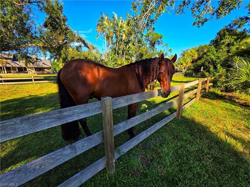 3879 Hidden Acres Cir S, North Fort Myers, FL 33903 Photo