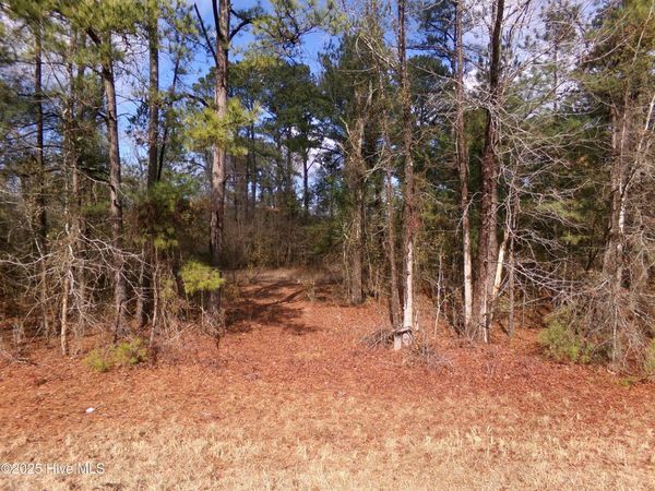 Near 273 Kenric Road, Lumberton, NC 28358
