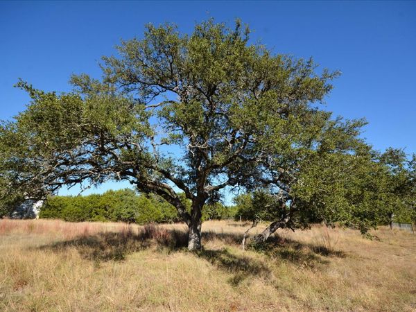 121 S JESSE STIFF DR, Blanco, TX 78606