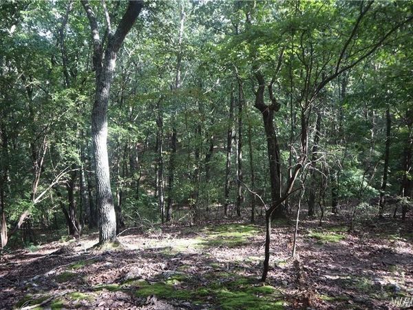 000 Oak Ridge Road, Fayette, AL 35555