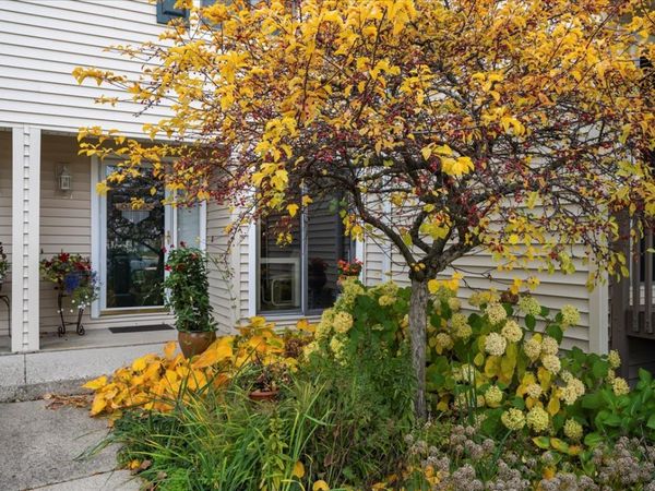 131 Autumn Court, Unit 131, Buffalo Grove, IL 60089