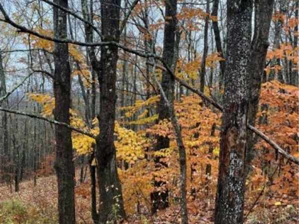 16 Silver Mine Road, North Blenheim, NY 12093