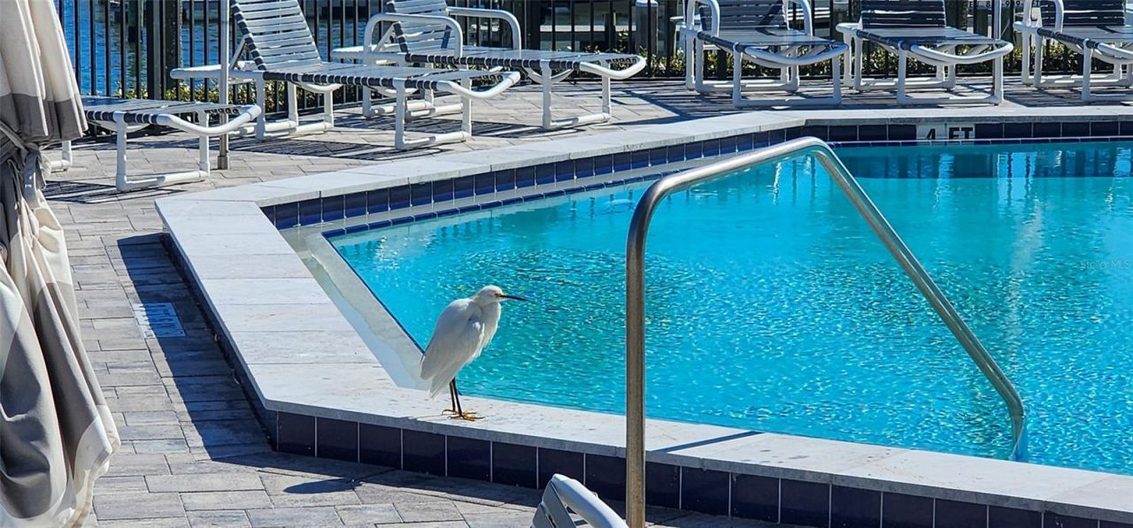 501 N Causeway, Unit 3070, New Smyrna Beach, FL 32169 Photo